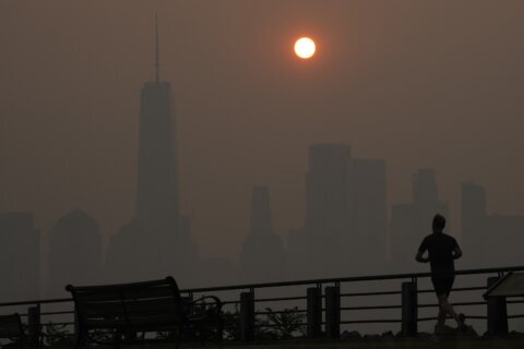 For many cities around the world, bad air an inescapable part of life