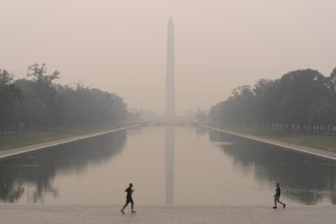 Here are the worst areas for air pollution in DC, according to satellite imagery