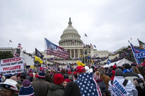 Ex-NSA employee gets 14 days in jail for storming Capitol with members of white nationalist movement