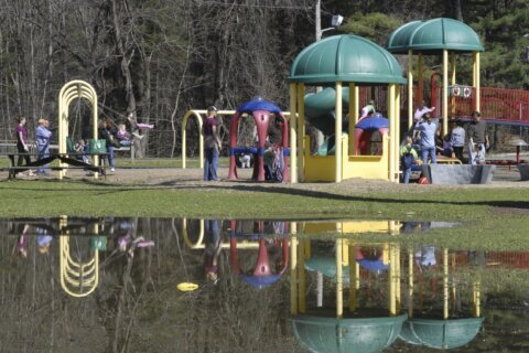 Playground slides doused with pool acid, injuring 2 children