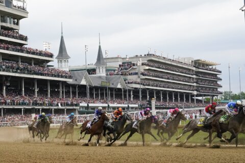 6-year-old horse dies at Belmont Park after race injury; Chaysenbryn euthanized on track
