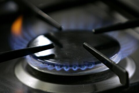 Stove wars: Republican-controlled House approves bills to protect gas stoves