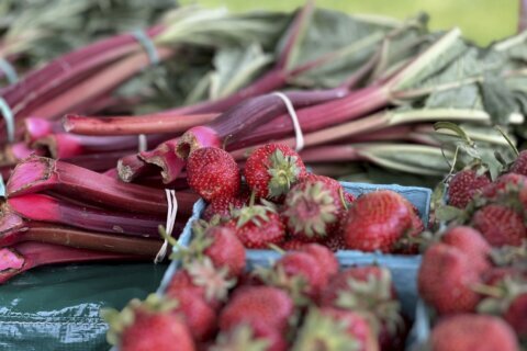 June is rhubarb picking time in the garden, so pucker up