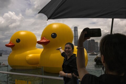 Giant inflatable ducks make a splash in Hong Kong as pop-art project returns after 10 years