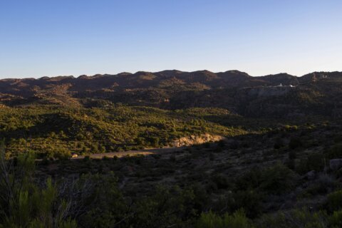 Arizona's Oak Flat is sacred land to some Native Americans, but it's endangered by a plan for a mine