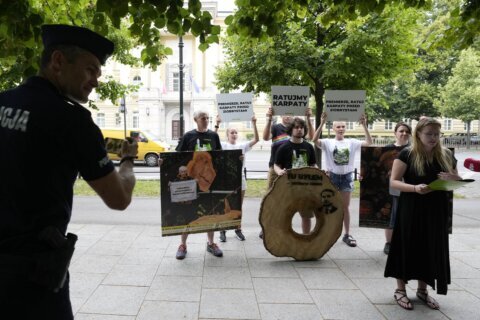 Greenpeace protests mass logging of old-growth forests in Carpathian Mountains