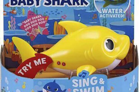 7.5 million Baby Shark bath toys are recalled after they cut or stabbed children