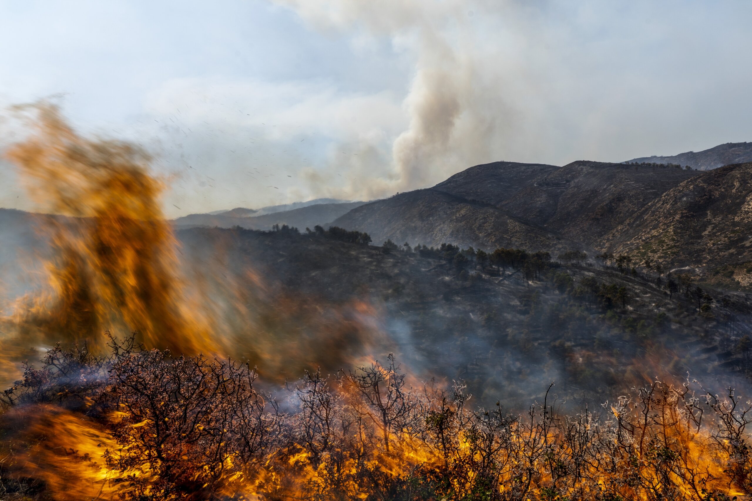 Los incendios forestales provocados por el cambio climático van en aumento: los expertos dicen que España debe hacer más para prepararse