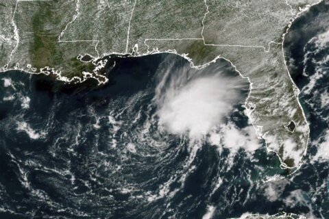 Tropical Storm Arlene, 1st of season, forms in Gulf of Mexico