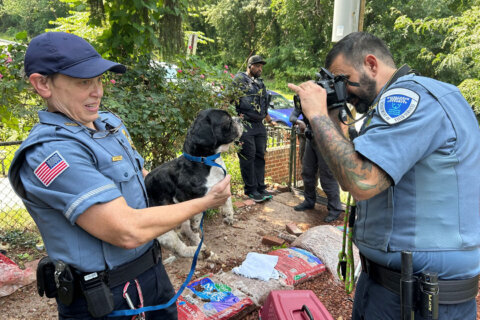 From dog bites to shelters, DC’s Health Department and Humane Rescue Alliance prepare for changeover