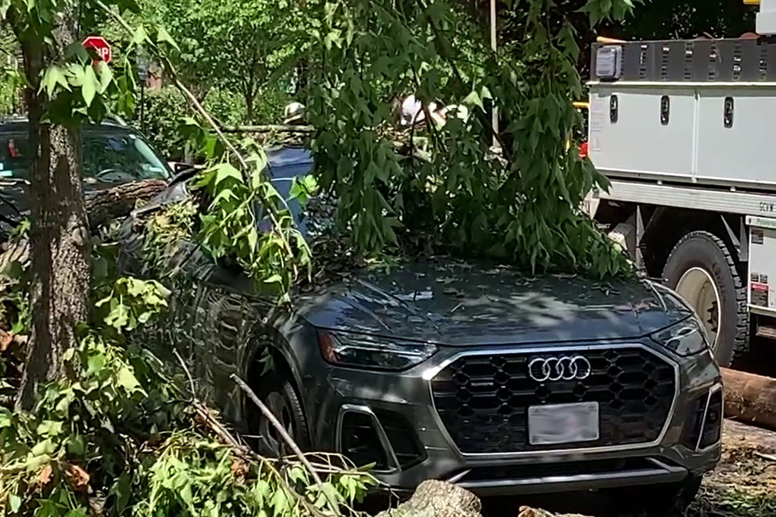 The D.C. region continues to recover after a severe storm ripped through the area on Saturday, toppling trees, and knocking out power for thousands across the area. (WTOP/Mike Murillo)