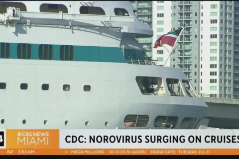 Norovirus outbreaks surging on cruise ships this year