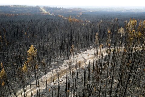 Wildfires have burned a record amount of area in the Canadian province of British Columbia