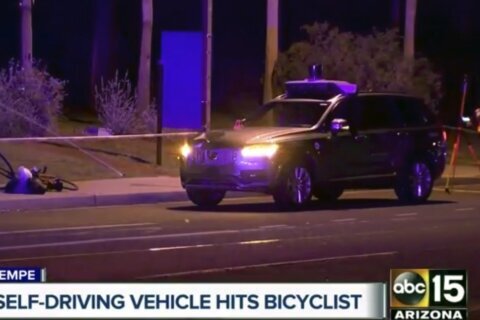 The backup driver in the 1st death by a fully autonomous car pleads guilty to endangerment