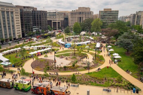 Kids take over DC’s Franklin Park for three-day event