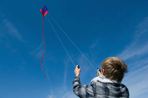 You can let your kite take flight, but no kite fights allowed in Fairfax County Parks