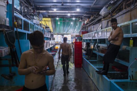 Hong Kong's seafood businesses brace for a sales slump as Japan plans to discharge radioactive water