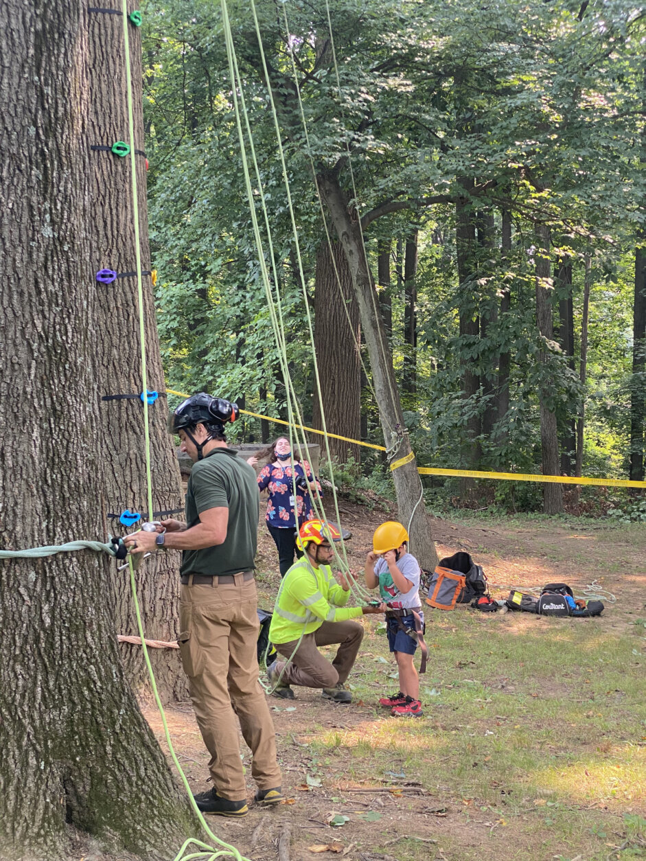Tree climbing brought to a new level for kids in Silver Spring - WTOP News