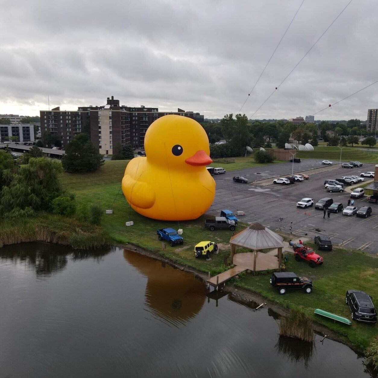 The world's largest rubber duck is coming to Maryland for a spec