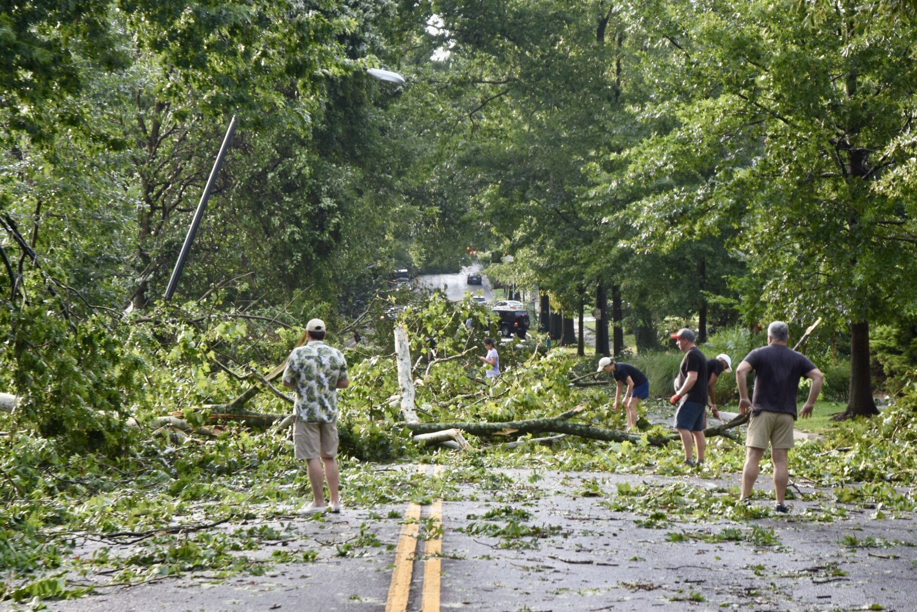 <p>D.C. residents clear a path through fallen trees on Massachusetts Avenue NW after violent thunderstorms on Saturday, July 29, 2023. (WTOP/Dave Dildine)</p>

