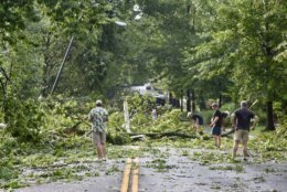 <p>D.C. residents clear a path through fallen trees on Massachusetts Avenue NW after violent thunderstorms on Saturday, July 29, 2023. (WTOP/Dave Dildine)</p>
