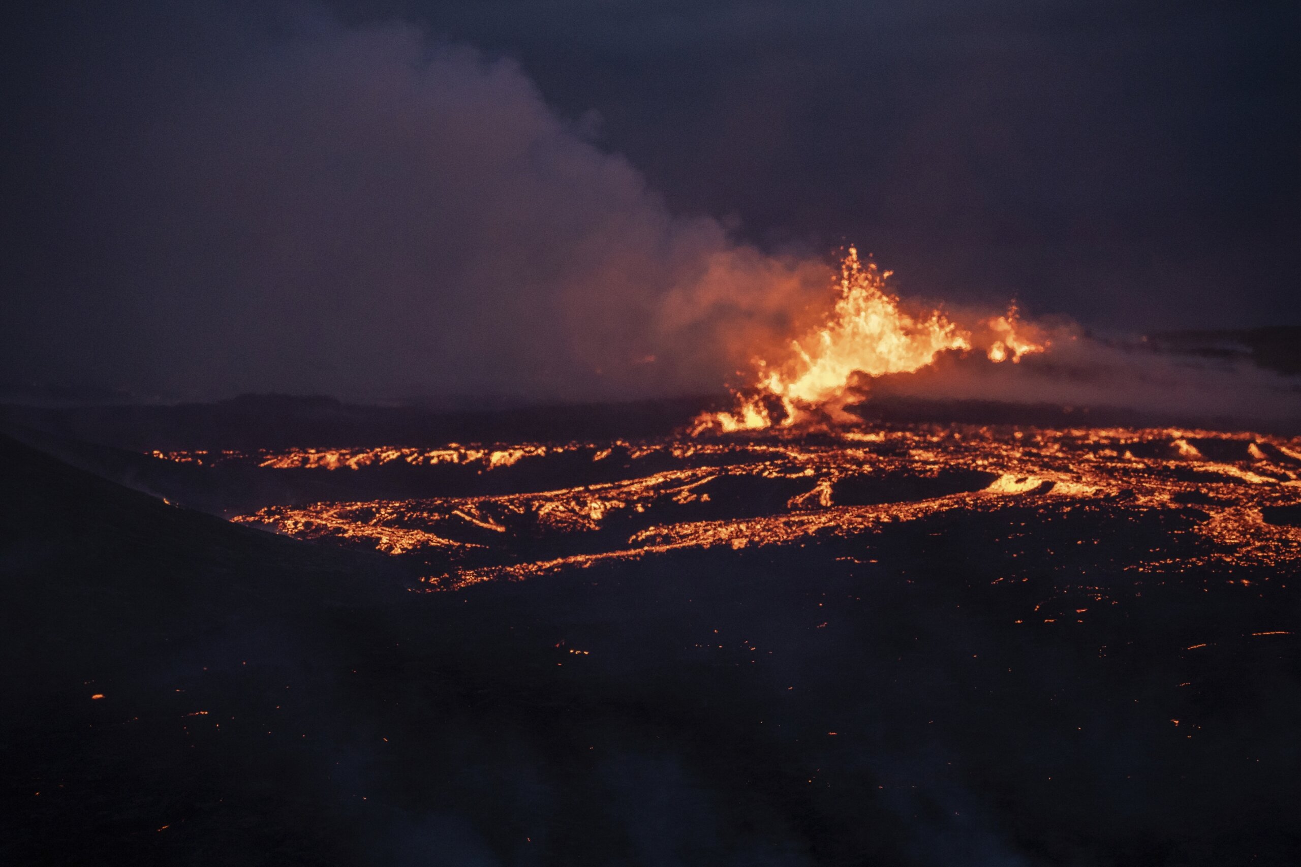 An Eruption of Ravens - The New York Times