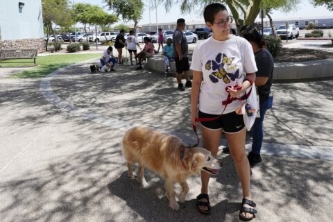 ThunderShirts, dance parties and anxiety meds can help ease dogs’ July Fourth dread