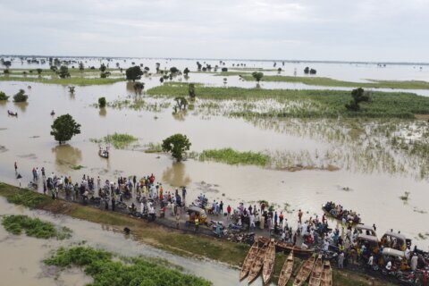 Nigeria triggers national response plan for annual deadly floods; 14 states on alert