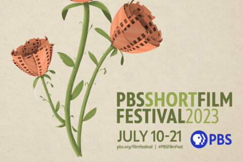 PBS Short Film Fest explores DC shoes, opioid crisis and prison pregnancy