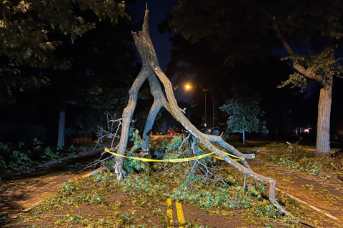 Thousands remain powerless as DC area recovers from strong summer storms