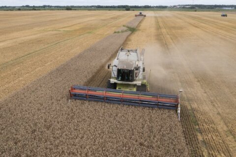 Russia's threat to pull out of Ukraine grain deal raises fears about global food security