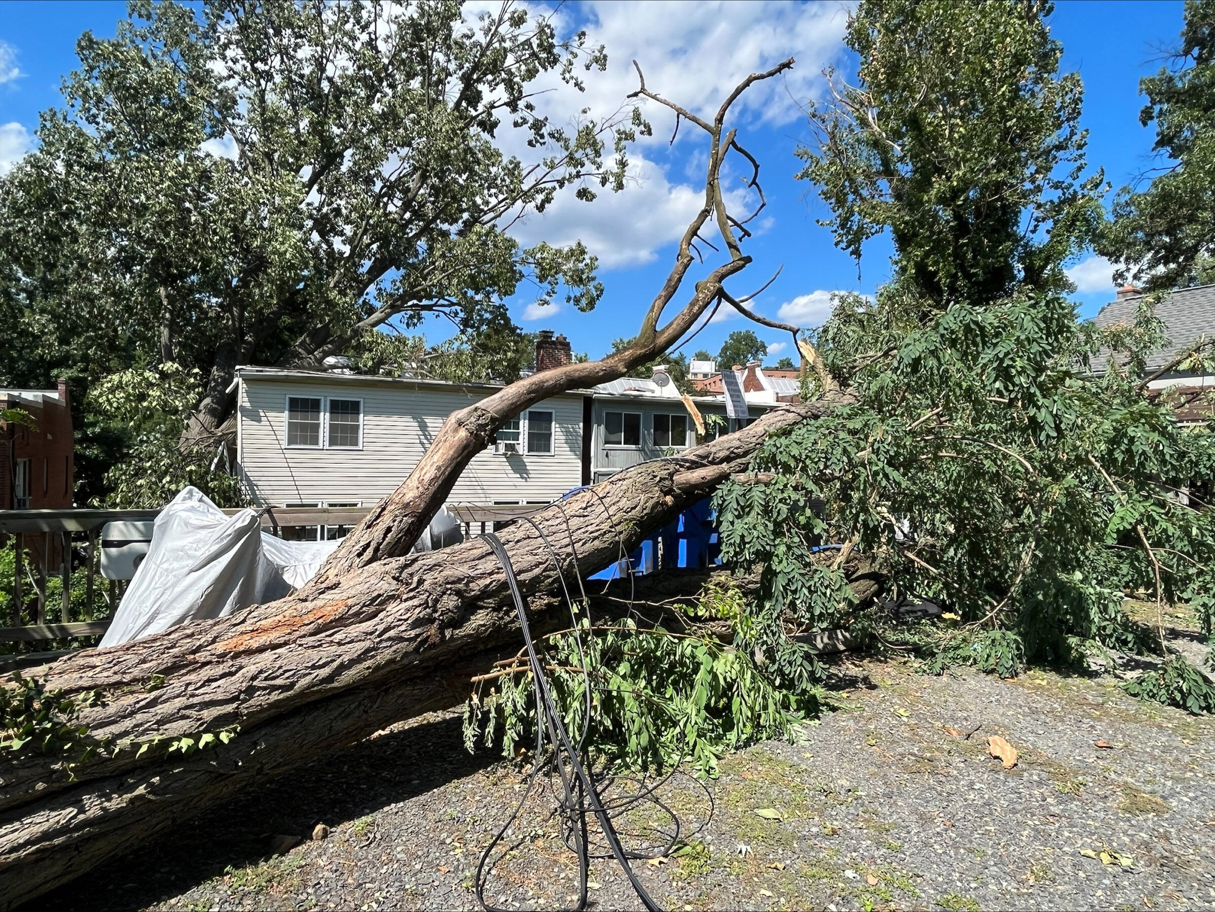 Three deaths confirmed from historic storm; thousands may be