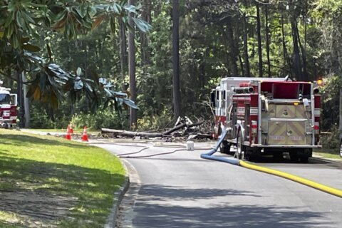 At least 1 person is dead in a fiery small plane crash in South Carolina beach resort