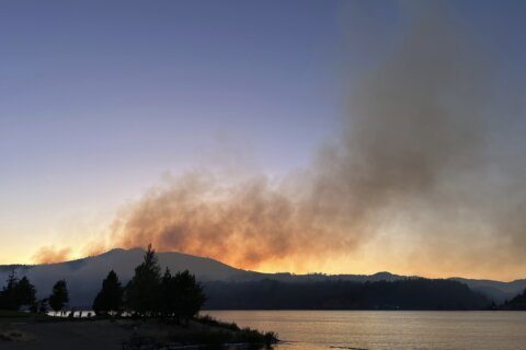 Help arrives to battle wildfire in Washington state near Columbia River Gorge