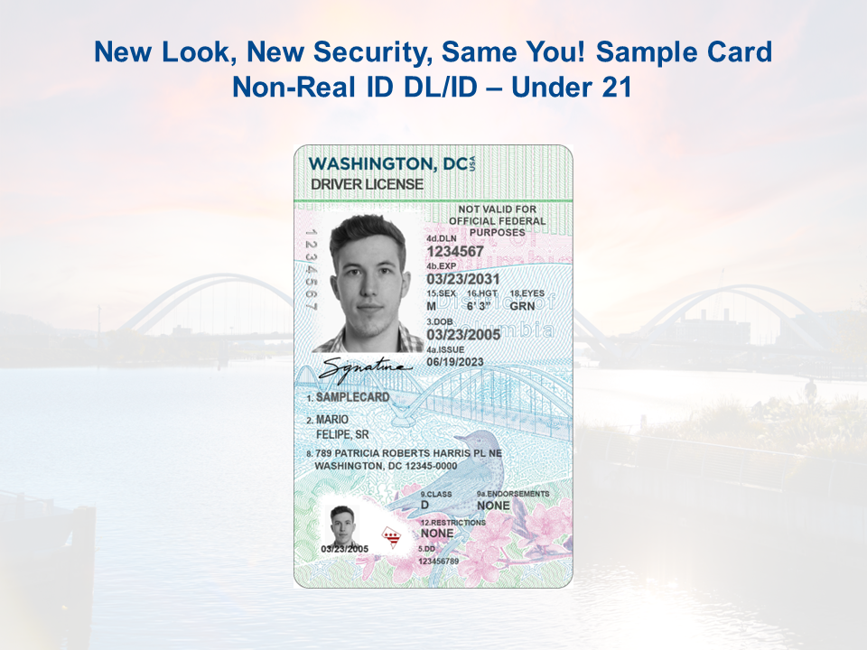 DC DMV REAL ID Driver License