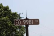 EO 9981 Road