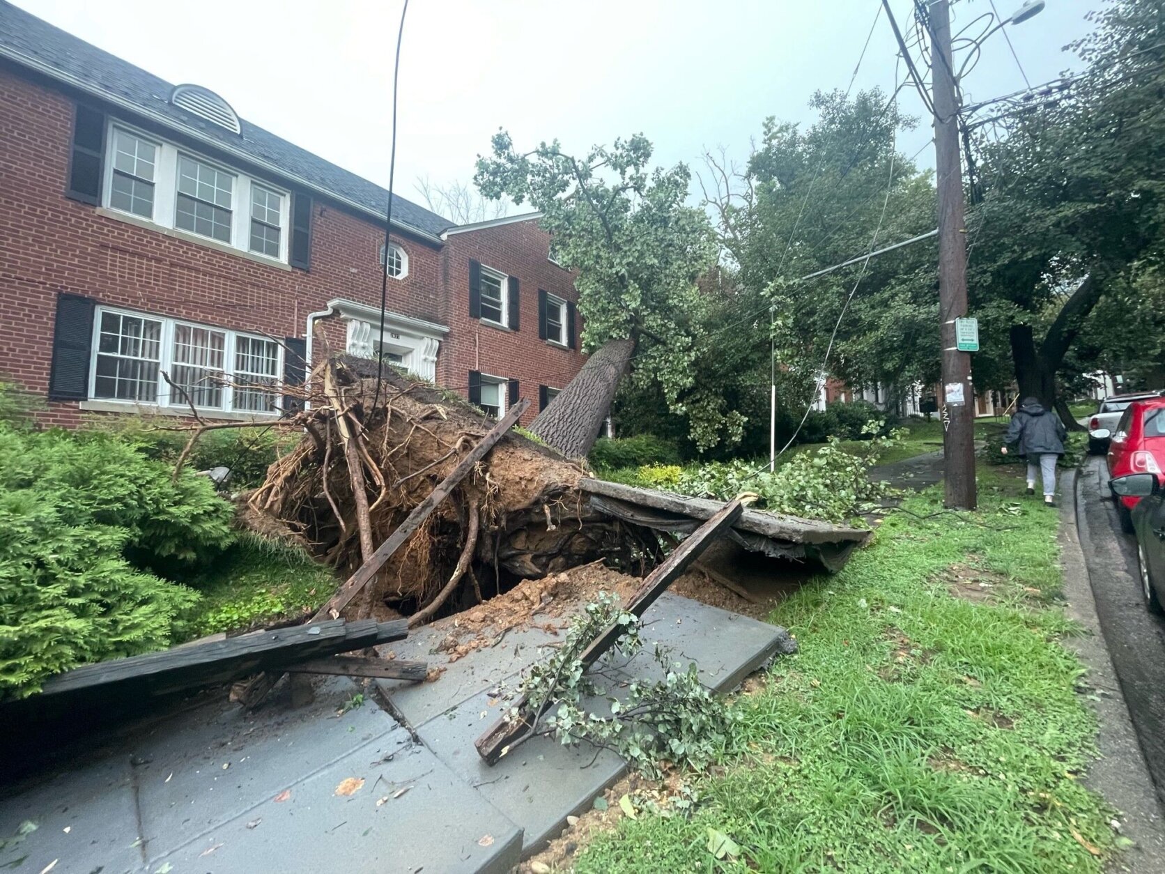 A large tree fell during the storm in Glover Park. (Courtesy Nicholas Nguyen)