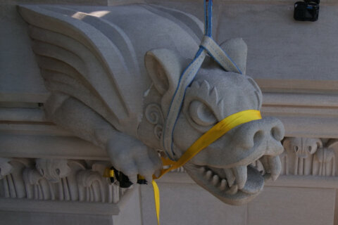 Re-capitation': National Cathedral's gargoyle gets its head back