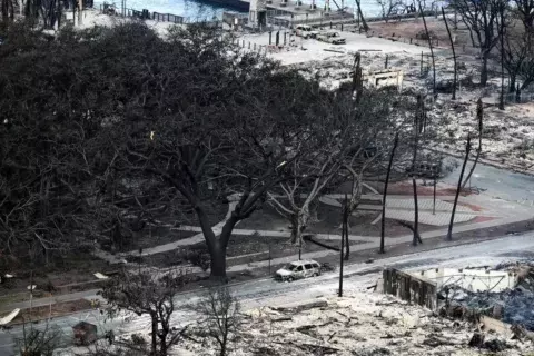 Signo de esperanza: histórico árbol baniano de Hawaii emerge quemado pero aún en pie