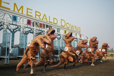 ‘T. rexes’ race to photo finish at Washington state track