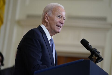Biden says federal government will help Maui 'for as long as it takes' to recover from wildfire