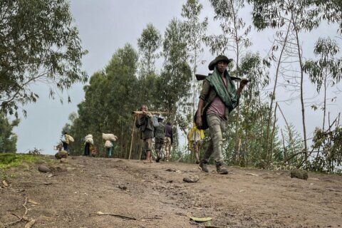 Ethiopia's government recaptures Amhara region towns from militia, government and residents say