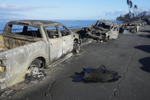 In deadly Maui wildfires, communication failed. Chaos overtook Lahaina along with the flames