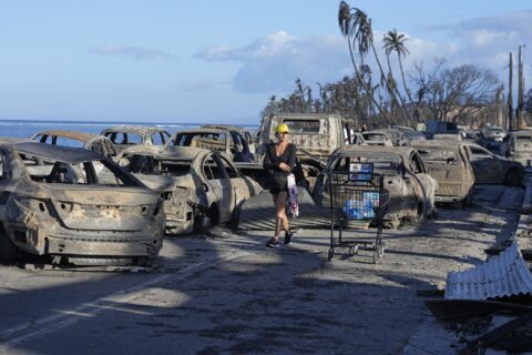 As flames swallowed Maui, survivors made harrowing escapes