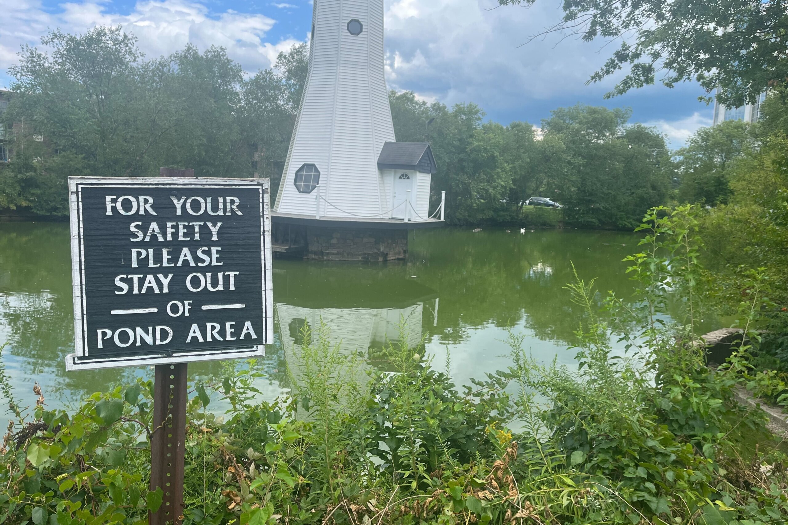 Alligator found in Maryland pond near Chesapeake Bay - The Washington Post