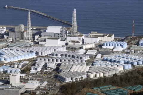 Japanese government pledges long-term support for fisheries during Fukushima plant water release