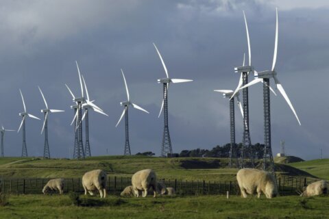 New Zealand is partnering with BlackRock in aim to reach 100% renewable electricity