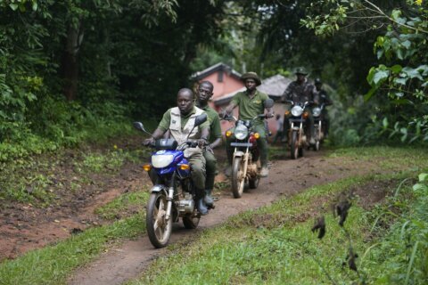 A Nigerian forest and its animals are under threat. Poachers have become rangers to protect both