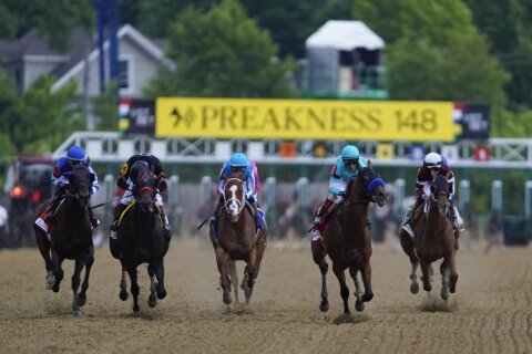 Preakness officials say they’re considering changing the timing of the second Triple Crown race