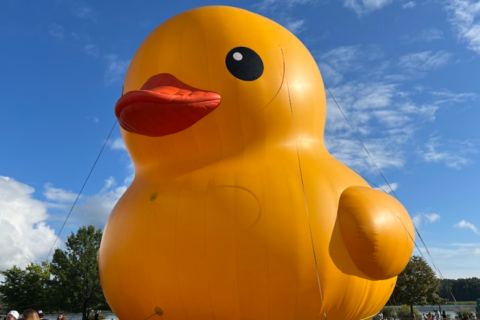 PHOTOS: World’s largest rubber duck arrives on Maryland’s shore
